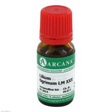 Abbildung: LILIUM TIGRINUM LM 30 Dilution 10 ml, Dilution PZN 03505048 
