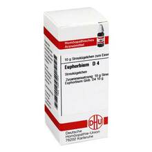 Abbildung: EUPHORBIUM D 4 Globuli 10 g, Globuli PZN 03631600 
