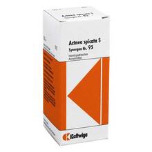 Abbildung: Synergon Komplex 95 Actaea spicata S Tropfen 50 ml, Tropfen PZN 03633852 