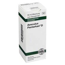 Abbildung: Aesculus Pentarkan D Mischung 50 ml, Mischung PZN 03735989 