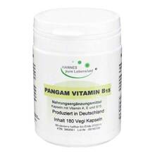 Abbildung: Pangam Vitamin B15 Vegi Kapseln 180 St, Kapseln PZN 03868561 