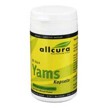 Abbildung: Yams Kapseln 250 mg Yamspulver 60 St, Kapseln PZN 04020637 
