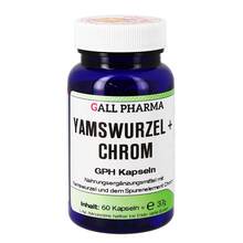 Abbildung: Yamswurzel + Chrom Gph Kapseln 60 St, Kapseln PZN 04131696 