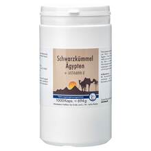 PZN 04191793 1000 St, Kapseln