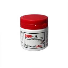 Abbildung: Hypo-A Mineral plus Kapseln 100 St, Kapseln PZN 04192344 