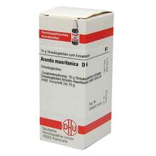 Abbildung: ARUNDO mauritanica D 6 Globuli 10 g, Globuli PZN 04205851 