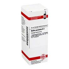 Abbildung: BELLIS PERENNIS D 2 Dilution 20 ml, Dilution PZN 04207117 