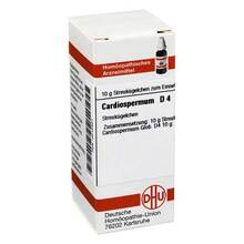 Abbildung: CARDIOSPERMUM D 4 Globuli 10 g, Globuli PZN 04210421 