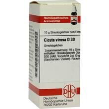 Abbildung: CICUTA VIROSA D 30 Globuli 10 g, Globuli PZN 04212532 