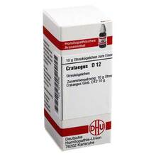 Abbildung: CRATAEGUS D 12 Globuli 10 g, Globuli PZN 04214092 