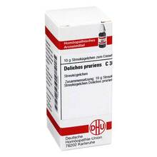 Abbildung: Dolichos pruriens C 30 Globuli 10 g, Globuli PZN 04215306 