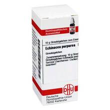 Abbildung: Echinacea Purpurea D 2 Globuli 10 g, Globuli PZN 04215921 