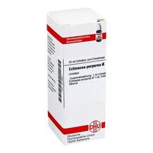 Abbildung: ECHINACEA PURPUREA Urtinktur 20 ml, Dilution PZN 04215967 