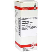 Abbildung: EUPATORIUM PERFOLIATUM D 12 Dilution 20 ml, Dilution PZN 04216725 