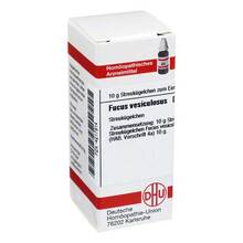  PZN 04217914 10 g, Globuli