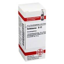 Abbildung: HELLEBORUS D 12 Globuli 10 g, Globuli PZN 04219942 