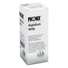 Abbildung: Phönix Aspidium spag.Mischung 100 ml, Mischung PZN 04223139 