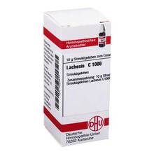 Abbildung: LACHESIS C 1000 Globuli 10 g, Globuli PZN 04223613 