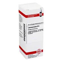 Abbildung: LAUROCERASUS D 6 Dilution 20 ml, Dilution PZN 04224110 