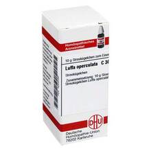 Abbildung: Luffa operculata C 30 Globuli 10 g, Globuli PZN 04225090 