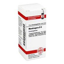 Abbildung: MANDRAGORA D 6 Globuli 10 g, Globuli PZN 04226267 