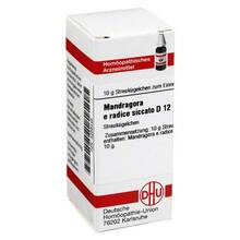 Abbildung: Mandragora E radice siccata D 12 Globuli 10 g, Globuli PZN 04226445 
