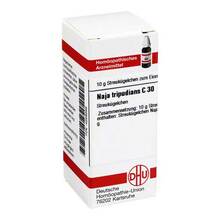 Abbildung: NAJA TRIPUDIANS C 30 Globuli 10 g, Globuli PZN 04228295 
