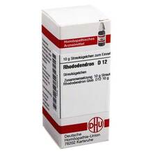 Abbildung: RHODODENDRON D 12 Globuli 10 g, Globuli PZN 04234114 