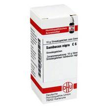 Abbildung: SAMBUCUS NIGRA C 6 Globuli 10 g, Globuli PZN 04235473 
