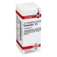 Abbildung: STROPHANTHUS D 6 Globuli 10 g, Globuli PZN 04238359 