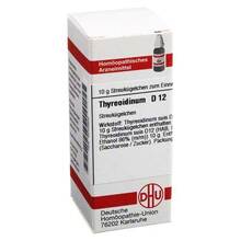 Abbildung: THYREOIDINUM D 12 Globuli 10 g, Globuli PZN 04240652 