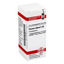 Abbildung: VISCUM ALBUM C 30 Globuli 10 g, Globuli PZN 04242332 