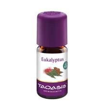 Abbildung: Eukalyptus Öl Bio 5 ml, Öl PZN 04354002 