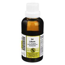 Abbildung: LILIUM K Komplex Nr.54 Dilution 50 ml, Dilution PZN 04484414 