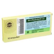 Abbildung: GINKGOBAKEHL D 4 Ampullen 10X2 ml, Ampullen PZN 04525886 