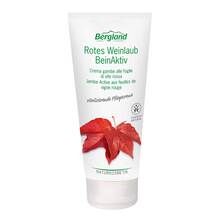 Abbildung: Rotes Weinlaub Beinaktiv Creme 100 ml, Creme PZN 04709244 