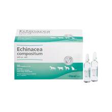 Abbildung: Echinacea Compositum ad us.vet.Ampullen 50 St, Ampullen PZN 04749485 