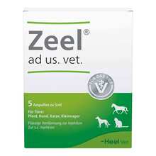 Abbildung: Zeel ad us.vet.Ampullen 5X5 ml, Ampullen PZN 04827009 