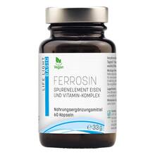 Abbildung: Ferrosin Eisen 14 mg Kapseln 60 St, Kapseln PZN 04863198 