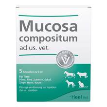 Abbildung: Mucosa compositum ad us.vet.Ampullen 5X5 ml, Ampullen PZN 04871335 