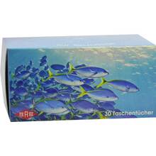 Abbildung: TASCHENTUCHBOX 30er 1 St PZN 04919504 