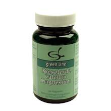 Abbildung: KIESELERDE CALCIUM Magnesium Kapseln 90 St, Kapseln PZN 05382897 