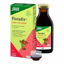 Abbildung: Floradix Eisen für Kinder Tonikum 250 ml, Tonikum PZN 05517423 
