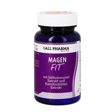 Abbildung: MAGEN-FIT GPH Kapseln 60 St, Kapseln PZN 05530441 