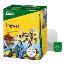 Abbildung: Ingwer Kräuter-Gewürztee-Mischung Bio Salus Fbeutel  40 St, Filterbeutel PZN 05726658 