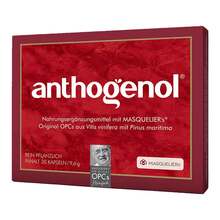 Abbildung: Anthogenol Masquelier Opc Kapseln 30 St, Kapseln PZN 05963973 