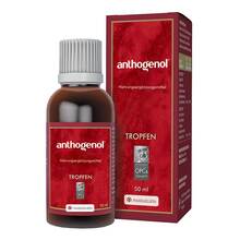 Abbildung: Anthogenol Masquelier Opc Tropfen 50 ml, Tropfen PZN 05964010 