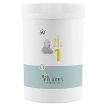 Abbildung: Biochemie Pflüger 1 Calcium fluoratum D 12 Tabletten  4000 St, Tabletten PZN 06318766 