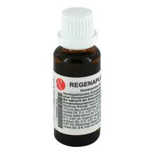 Abbildung: Regenaplex Nr.1 d / l Tropfen zum Einnehmen 30 ml, Tropfen zum Einnehmen PZN 06456592 