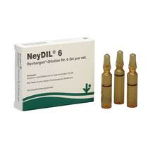 Abbildung: Neydil Nr.6 Revitorgan Dil.D 4 pro Ampullen vet. (für Tiere) 5X2 ml, Ampullen PZN 06487813 